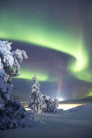 Aurora over a Lapland Forest, jigsaw puzzle photo