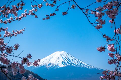 Mont Fuji et cerisiers en fleurs, photo de puzzle